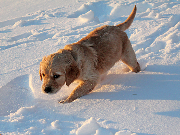 2013_day47_aqua_04.jpg