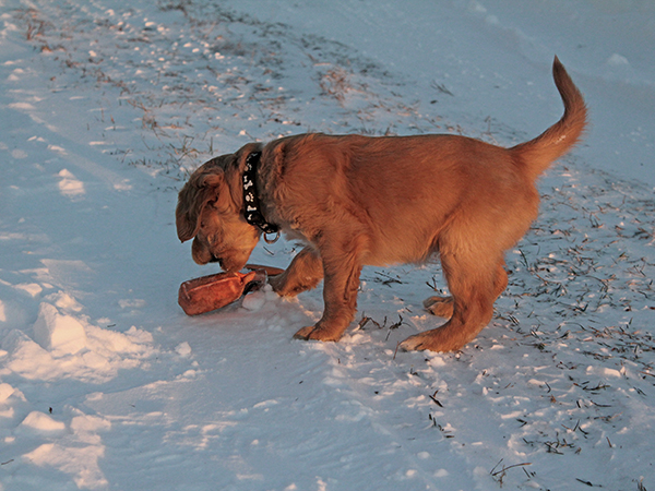 2013_day47_white_02.jpg